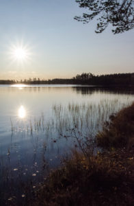 Iso Pajulampi aamurauringossa, Salamajärven kansallispuisto. Kuva: Upe Nykänen/retkeilyKS