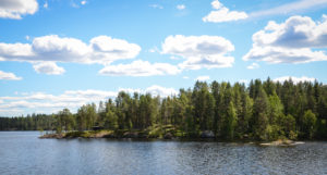 Haukisaari, Etelä-Konnevesi. Kuva: Upe Nykänen/retkeilyKS