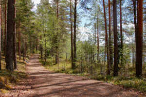Harjujärven esteetön reitti. Kuva: Marjo Nevalainen/retkeilyKS