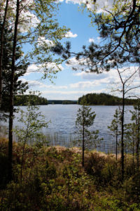 Leivonmäellä, Harjujärven rannassa. Kuva: Marjo Nevalainen/retkeilyKS