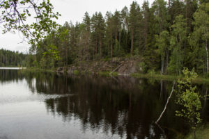 Kuorejärven rantamaisemaa. Kuva: Elina Lamminaho/retkeilyKS