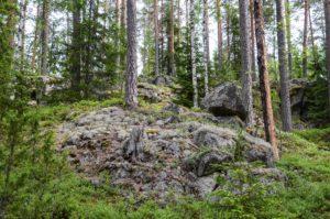 Mäyräniemen kallioista maastoa. Kuva: Upe Nykänen/retkeilyKS