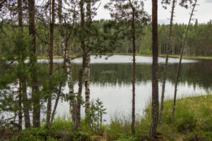 Vahterjärvi sadepäivänä. Kuva: Elina Lamminaho/retkeilyKS