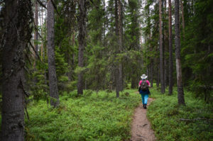 Retkeilijä metsäpolulla. Kuva: Upe Nykänen/retkeilyKS