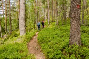 Retkeilijöitä Mäyräniemen polulla. Kuva: Elina Lamminaho/retkeilyKS