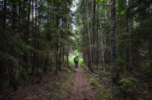 Metsäretkellä. Kuva: Upe Nykänen/retkeilyKS