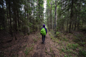 Metsäretkellä. Kuva: Upe Nykänen/retkeilyKS