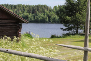 Jämsän retkipyöräilyreitin maalaismaisemissa. Kuva: Anu Pitkänen