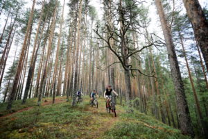 Joutsniemen harjua alamäkeen. Kuva: Touho Häkkinen/retkeilyKS