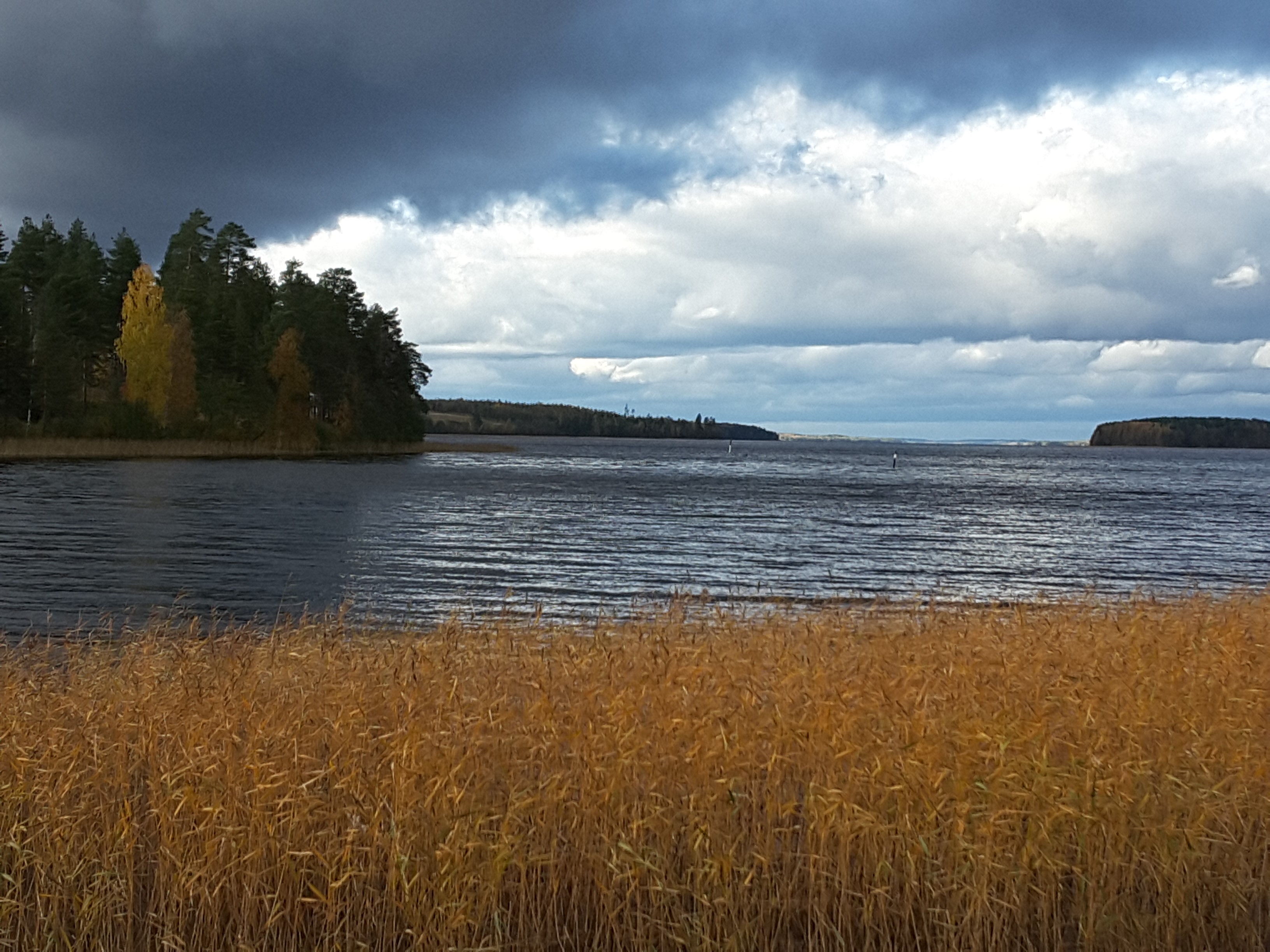 Järvikalat euroiksi -tapahtumailmoituksen kuva