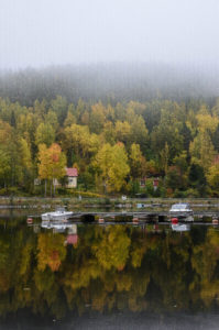 Syysruskaa Kanavuoressa, Vaajakoski.