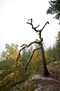 Kanavuoren Pikku-Leuha syysusvassa. Kuva: Upe Nykänen/retkeilyKS