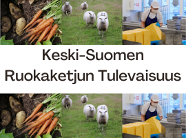 keski-suomen ruokaketjun tulevaisuus