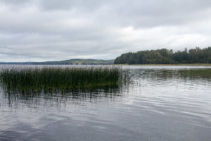 Kuusveden maisemaa Kirkkoniemestä alkusyksyllä, Laukaa. Kuva: Upe Nykänen
