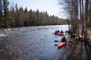 Melojia Kellankoskessa, Konnevesi. Kuva: Suvi Leinonen/retkeilyKS