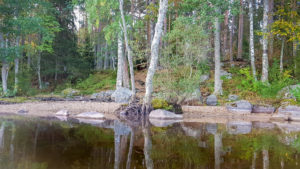 Kirkkoniemen hiekkarantaa, Laukaa. Kuva: Terhi Jaakkola