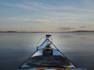 Meloja nauttii järvimaisemista ilta-auringossa. Kuva: Terhi Jaakkola