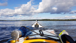 Meloja suuntaa järvelle. Kuva: Terhi Jaakkola.
