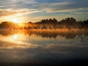 Auringonnousu Kuusvedellä, Laukaa. Kuva: Terhi Jaakkola