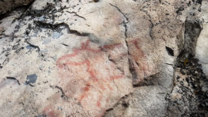 Saraakallioille on ikuistettu muun muassa hirvi. Kuva: Terhi Jaakkola