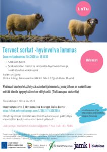 Terveet sorkat -hyvinvoiva lammas