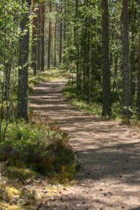 Esteetöntä polkua Leivonmäellä. Kuva: Suvi-Tuulia Leinonen/retkeilyKS