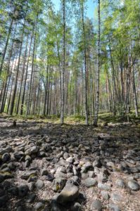 Entistä rantakivikkoa Joutsniemessä, Kuva: Upe Nykänen/retkeilyKS