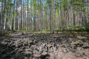 Entistä rantakivikkoa Joutsniemessä, Kuva: Upe Nykänen/retkeilyKS