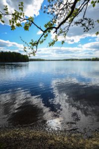 Rutajärven rantamaisemaa. Kuva: Upe Nykänen/retkeilyKS