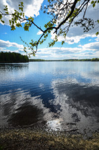Rutajärven rantamaisemaa. Kuva: Upe Nykänen/retkeilyKS