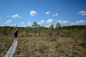 Retkeilijöitä Kirveslammen pitkospolulla. Kuva: Upe Nykänen/retkeilyKS