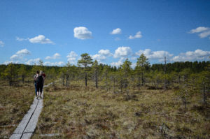 Retkeilijöitä Kirveslammen pitkospolulla. Kuva: Upe Nykänen/retkeilyKS