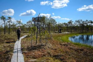 Retkeilijöitä Kirveslammen luontotornilla. Kuva: Upe Nykänen/retkeilyKS