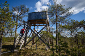 Kirveslammen luontotorni. Kuva: Upe Nykänen/retkeilyKS