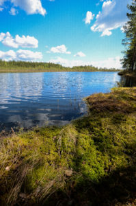 Suolammen maisemaa Kirveslammen kierroksella. Kuva: Upe Nykänen/retkeilyKS