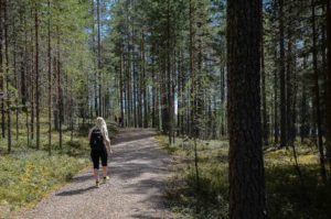 Kävelemässä Luupään lenkin esteettömällä polulla. Kuva: Upe Nykänen/retkeilyKS