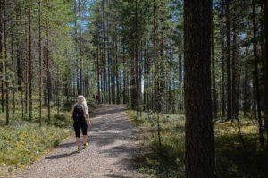 Kävelemässä Luupään lenkin esteettömällä polulla. Kuva: Upe Nykänen/retkeilyKS