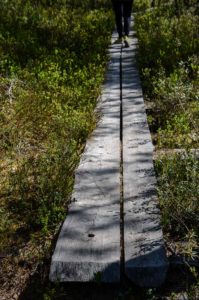 Pitkospuilla Leivonmäen kansallispuistossa. Kuva: Upe Nykänen/retkeilyKS