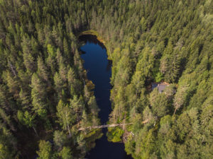 Lortikan tuvan maisemia yläimoista. Kuva: Heikki Sulander/retkeilyKS