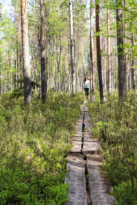 Pahapuron polku kulkee myös soiden halki. Kuva: Suvi-Tuulia Leinonen/retkeilyKS