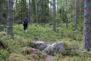 Retkeilijä Pahapuron polulla. Kuva: Suvi-Tuulia Leinonen/retkeilyKS