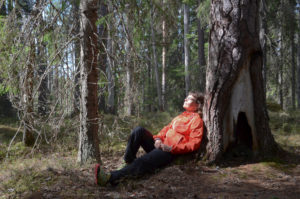 Retkeilijä lepää vanhan männyn juurella. Kuva: Upe Nykänen/retkeilyKS