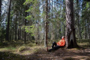 Retkeilijä lepää vanhan männyn juurella. Kuva: Upe Nykänen/retkeilyKS