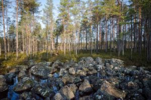 Pirunpelto Pakosuon kierroksella, Salamajärven kansallispuisto. Kuva: Upe Nykänen/retkeilyKS