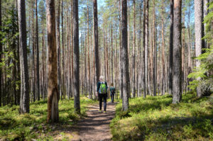 Retkeläisiä Kotajärven polulla. Kuva: Upe Nykänen/retkeilyKS