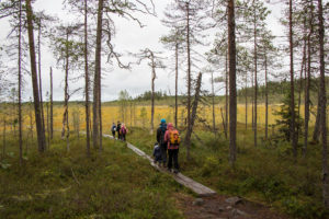 Pieniä retkeläisiä pitkospuupolulla, Pyhä-Häkki. Kuva: Elina Lamminaho/retkeilyKS