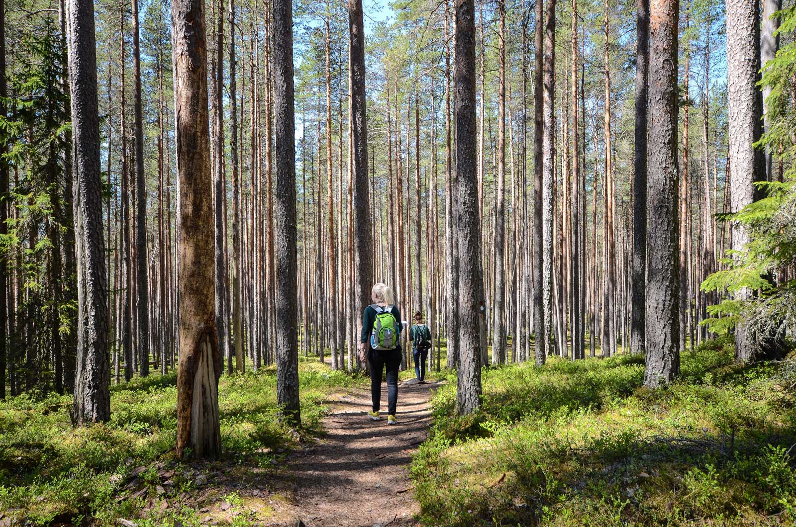 Retkeilijöitä Pyhä-Häkin kansallispuistossa, Saarijärvi