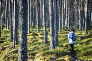 Retkellä Salamajärven kansallispuistossa. Kuva: Upe Nykänen/retkeilyKS