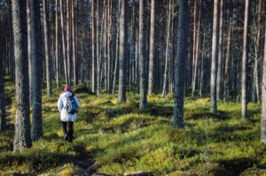 Retkellä Salamajärven kansallispuistossa. Kuva: Upe Nykänen/retkeilyKS