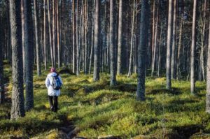 Retkellä Salamajärven kansallispuistossa. Kuva: Upe Nykänen/retkeilyKS